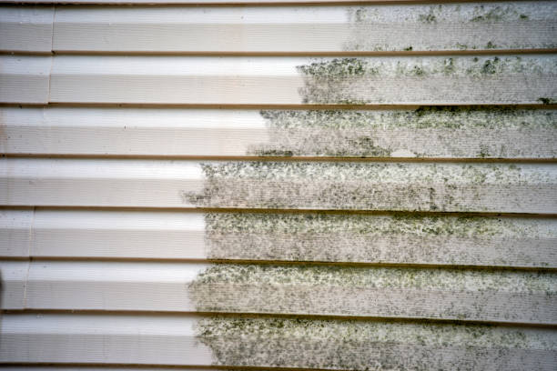 Best Custom Trim and Detailing for Siding  in Snellville, GA